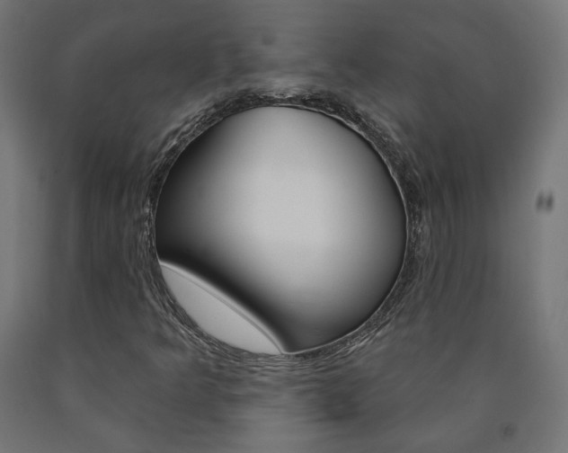 X0000090981349200708021133