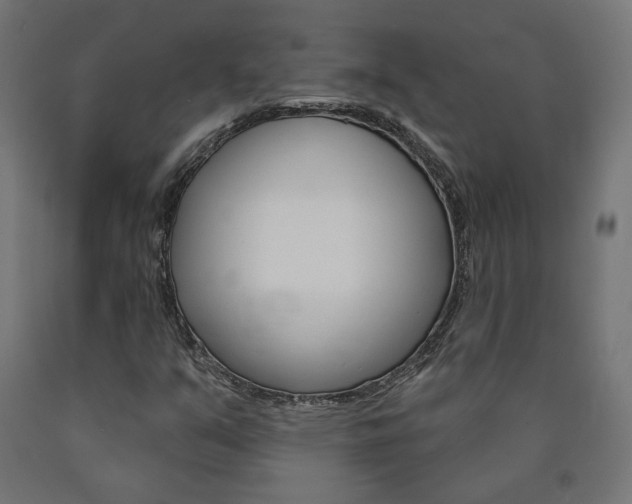 X0000090981351200708021133