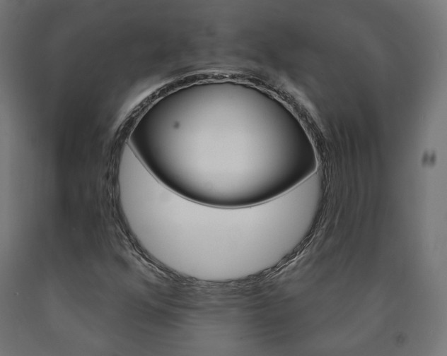 X0000090981352200708021133