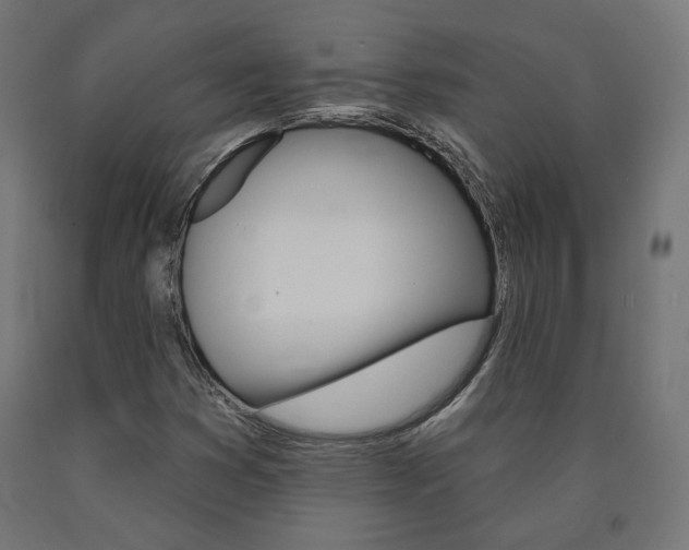 X0000090981353200708021133