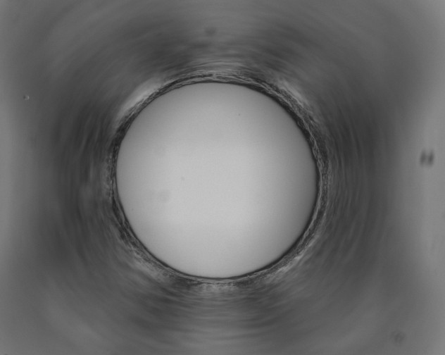 X0000090981354200708021133