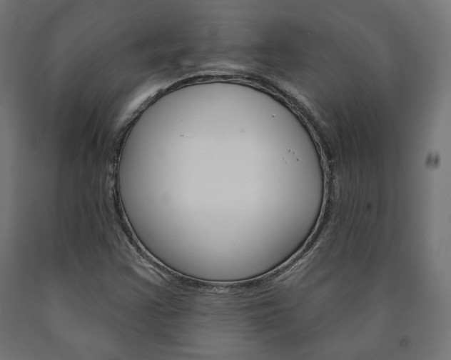 X0000090981355200708021133