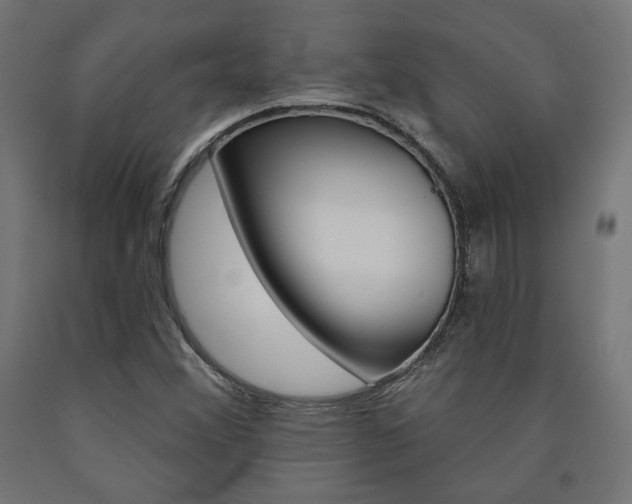 X0000090981356200708021133