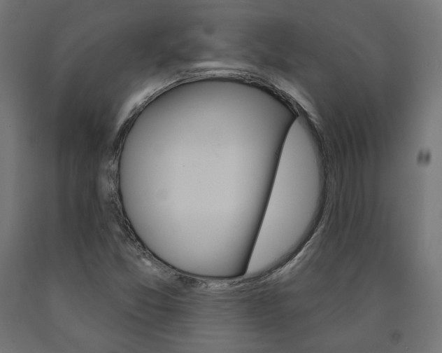 X0000090981357200708021133