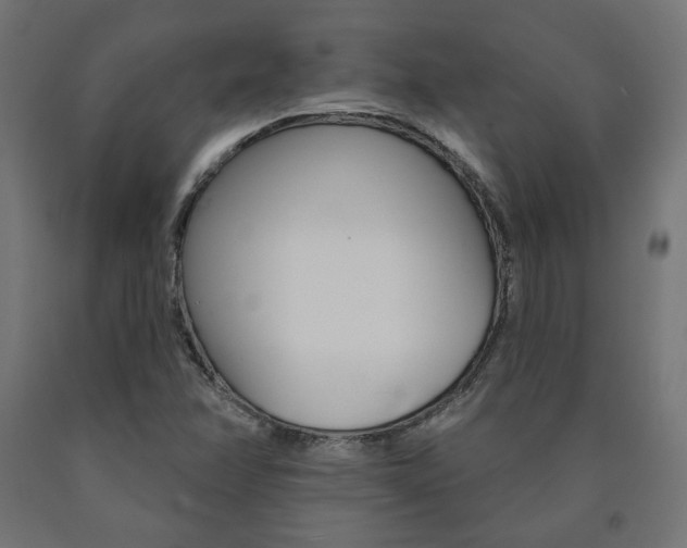 X0000090981358200708021133