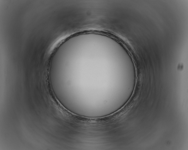 X0000090981359200708021133