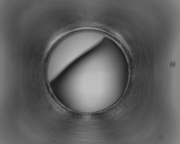 X0000090981360200708021133