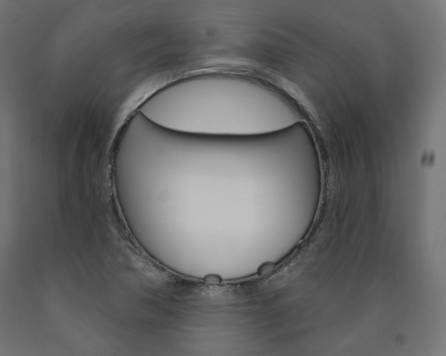 X0000090981362200708021133