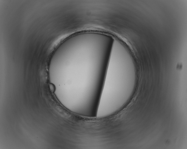 X0000090981363200708021133