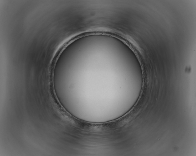 X0000090981364200708021133