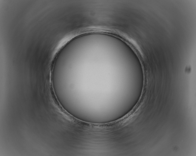 X0000090981365200708021133