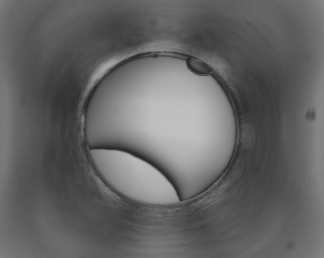 X0000090981366200708021133