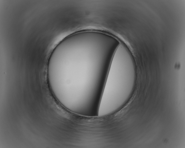 X0000090981367200708021133