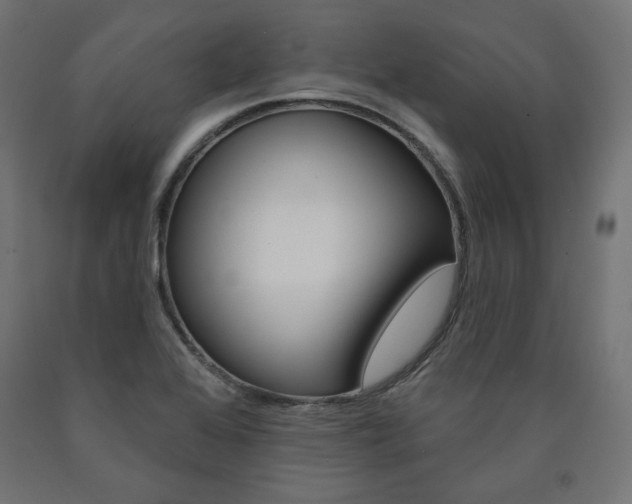 X0000090981368200708021133
