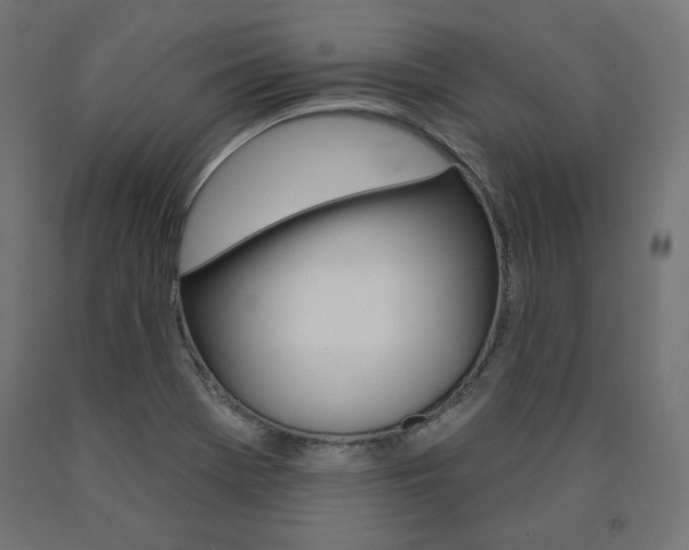 X0000090981369200708021133