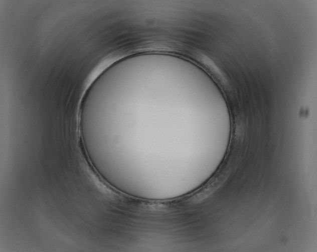 X0000090981370200708021133