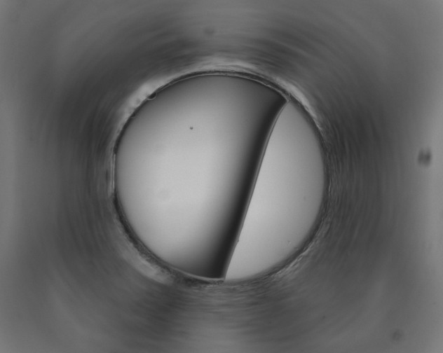 X0000090981371200708021133