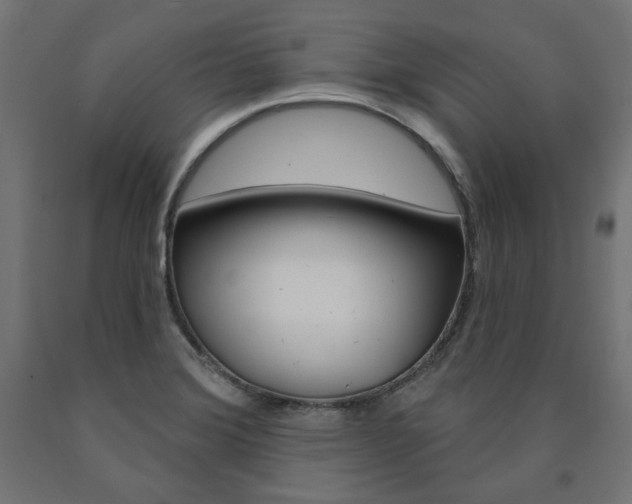 X0000090981372200708021133