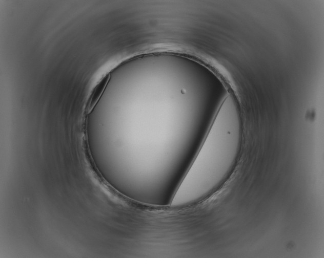 X0000090981373200708021132