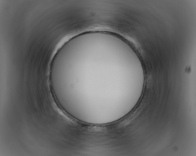 X0000090981374200708021132