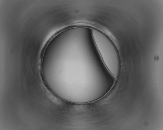 X0000090981376200708021132