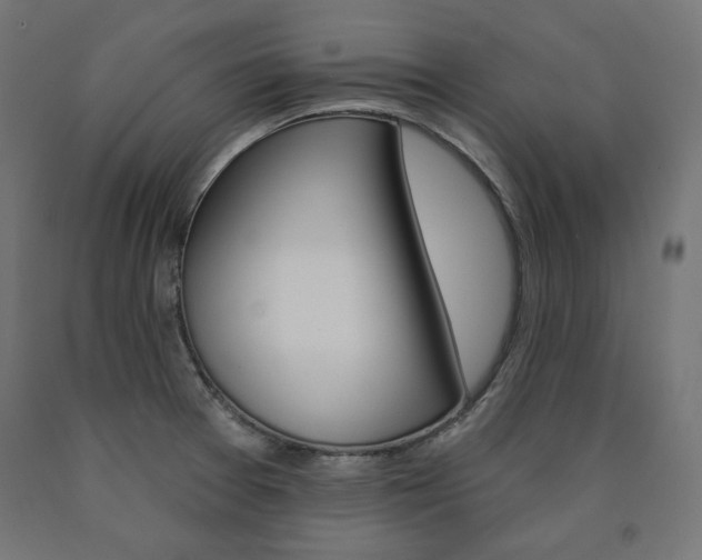 X0000090981377200708021132
