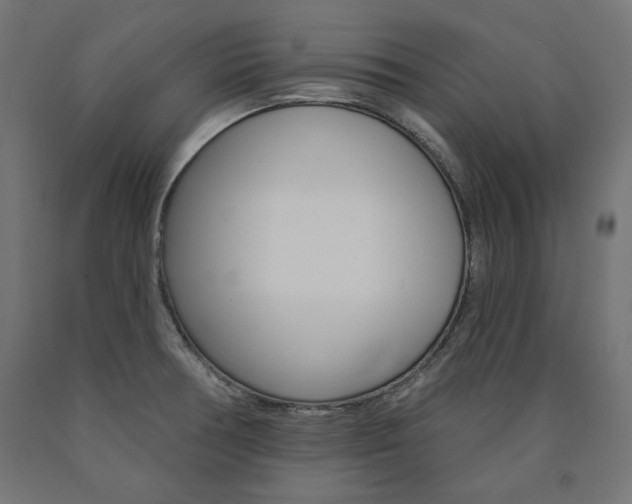 X0000090981378200708021132