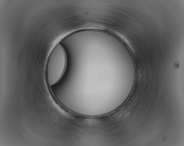 X0000090981379200708021132