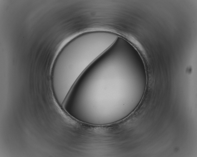X0000090981380200708021132