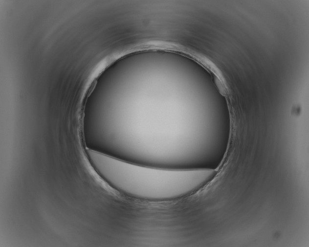 X0000090981381200708021132
