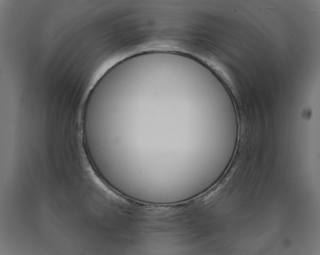 X0000090981382200708021132