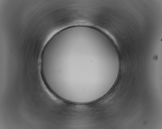 X0000090981383200708021132