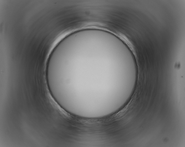 X0000090981384200708021132