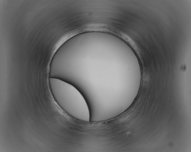 X0000090981386200708021132