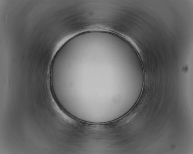 X0000090981387200708021132