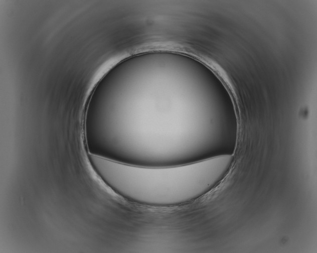 X0000090981389200708021132