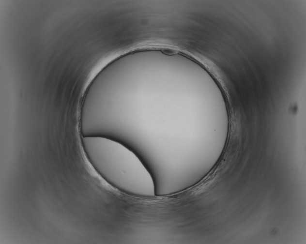 X0000090981390200708021132