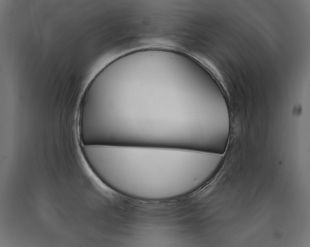 X0000090981391200708021132