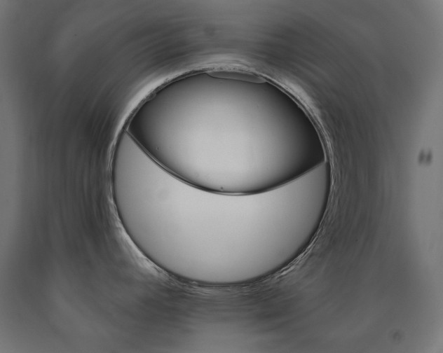X0000090981392200708021132