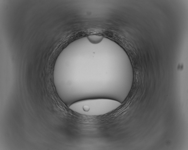 X0000090981393200708021131
