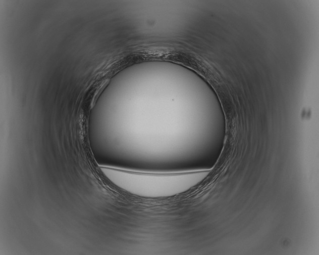X0000090981394200708021131
