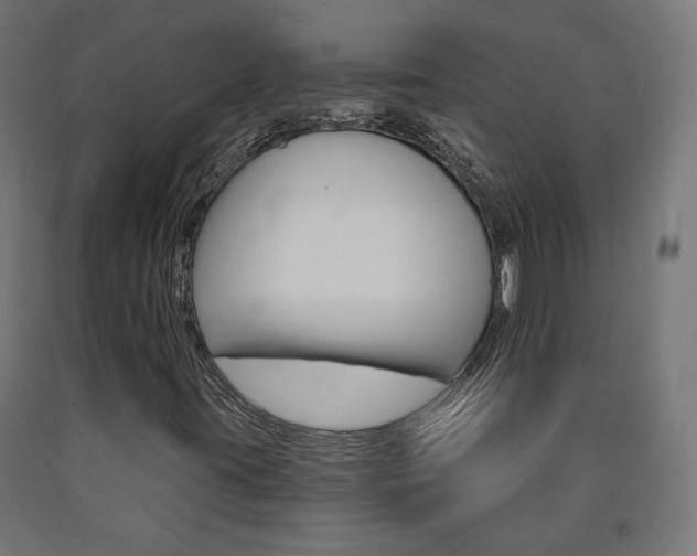 X0000090981395200708021131