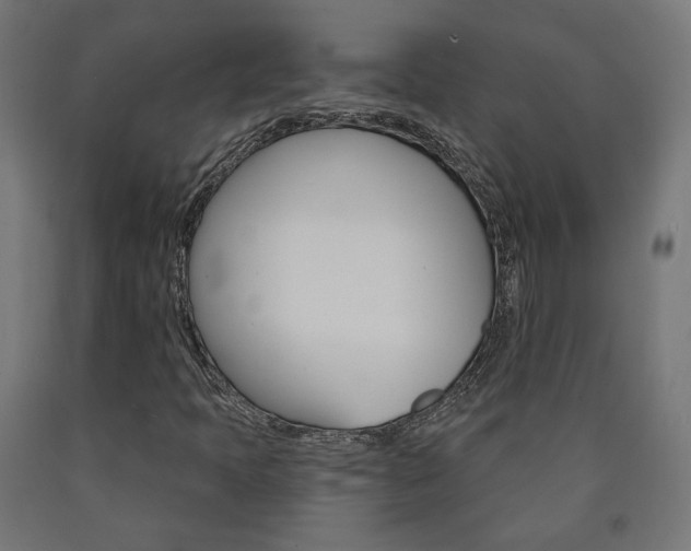 X0000090981397200708021131