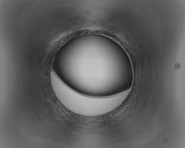 X0000090981398200708021131