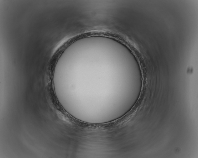 X0000090981400200708021131
