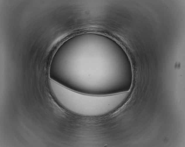 X0000090981402200708021131