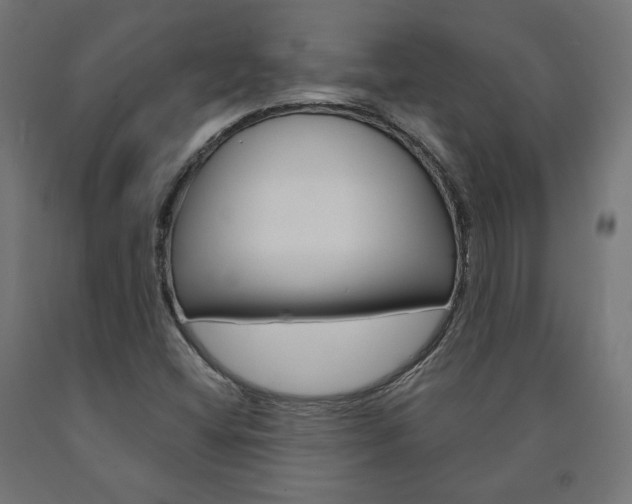 X0000090981404200708021131