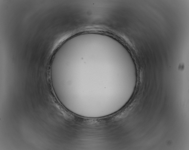 X0000090981405200708021131