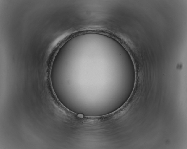 X0000090981406200708021131