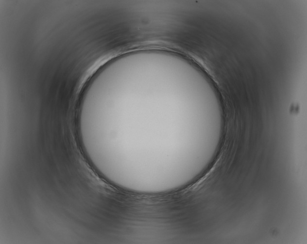 X0000090981410200708021132